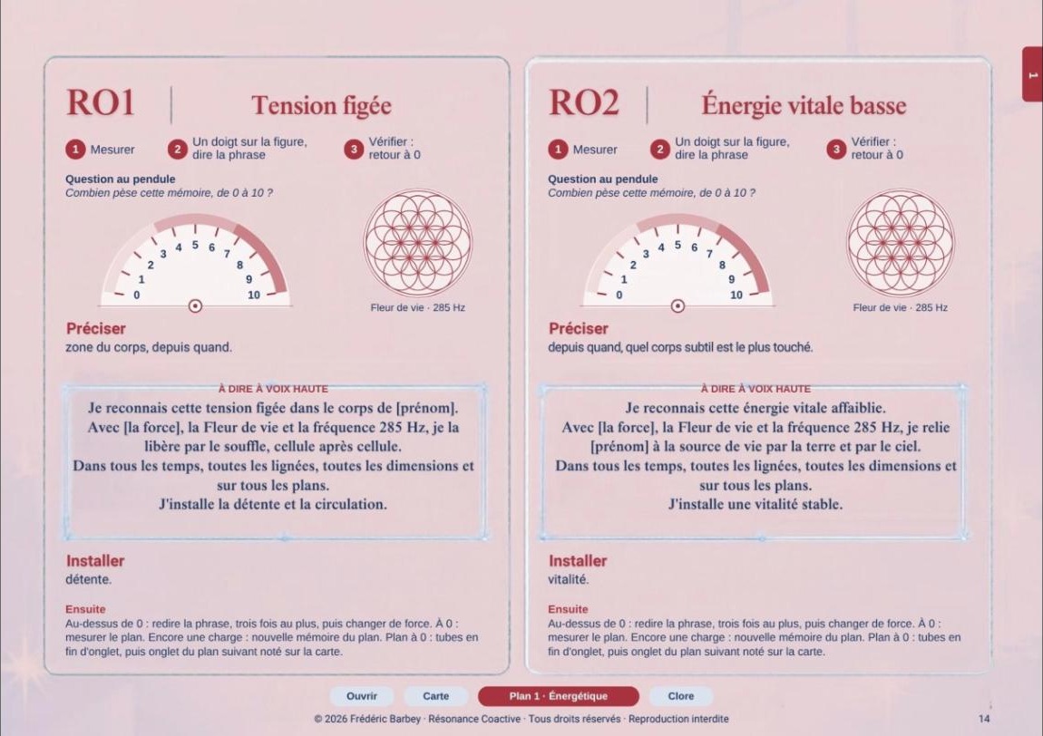 Les fiches RO1 et RO2 du livret du praticien, avec les cadrans, les figures et les phrases de transmutation